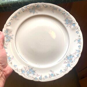 Vintage Norleans China Japan First Love Floral 10.5" Porcelain Dinner Plate